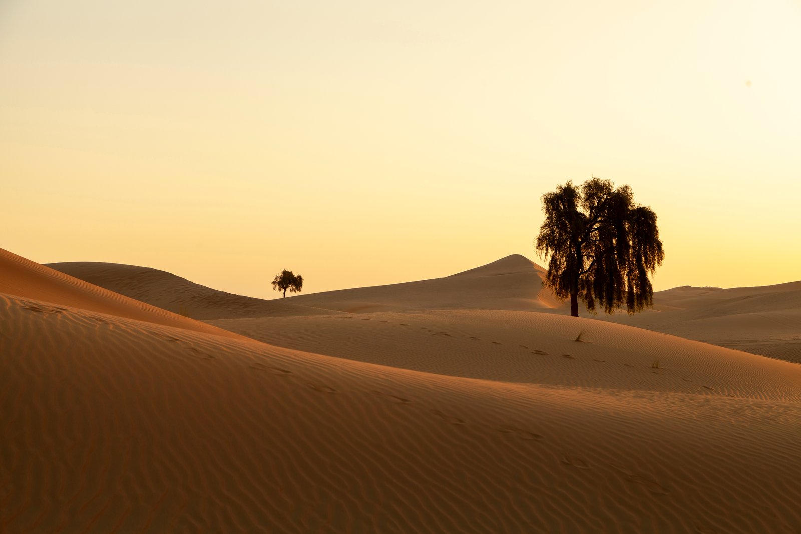 Geography of Rajasthan